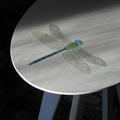 IMG 5628